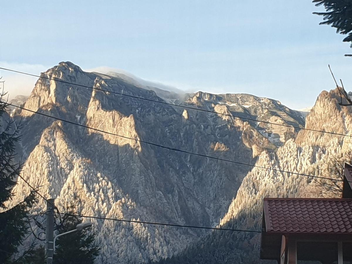 Mountain Break Azuga Ski Exterior foto